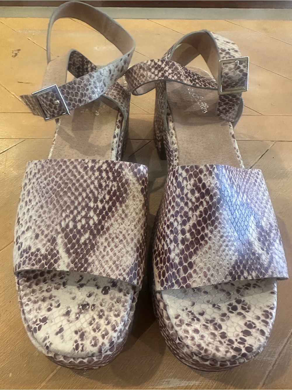 Seychelles leather platform sandals in a neutral snake print! 🐍🤎